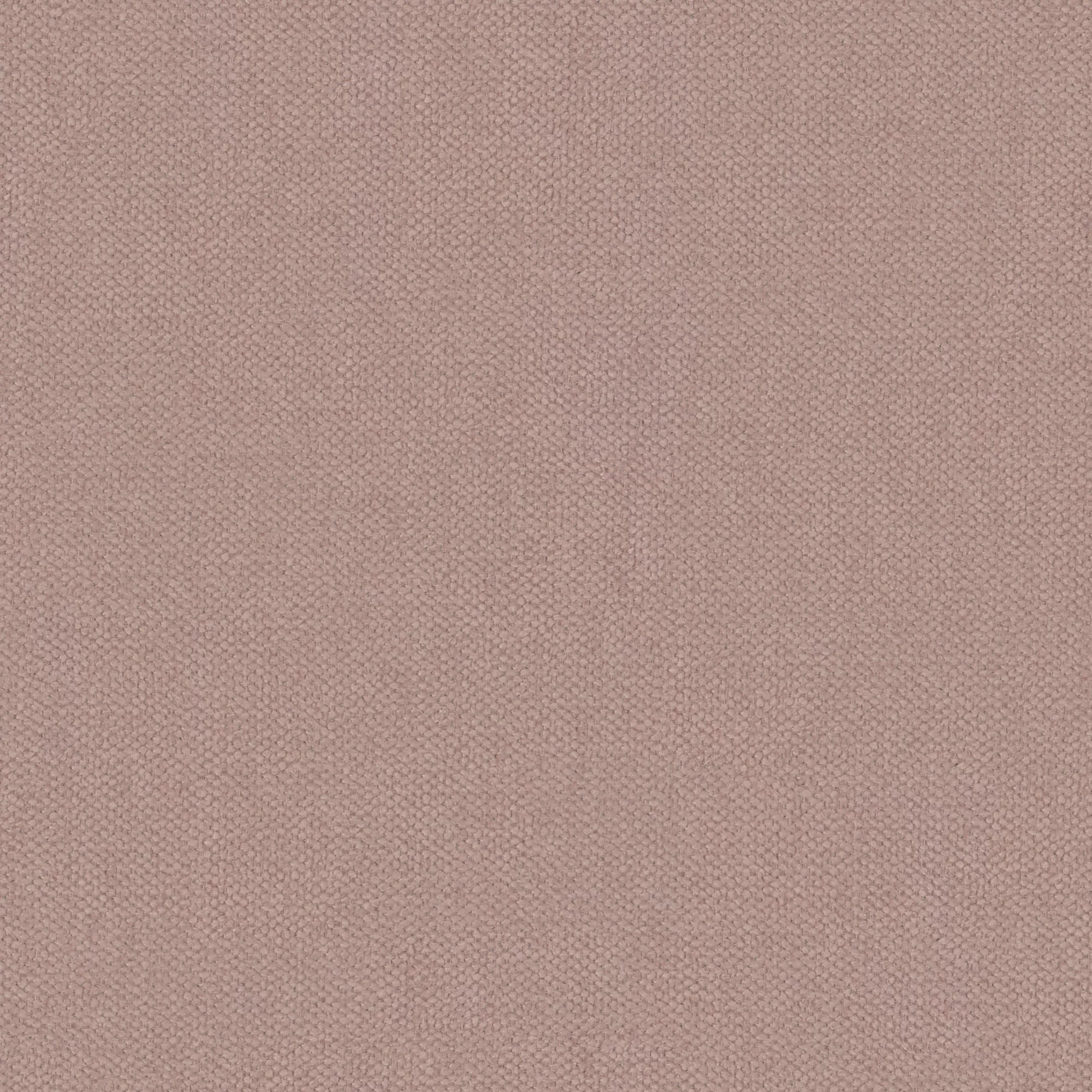 Rose Velvet 61